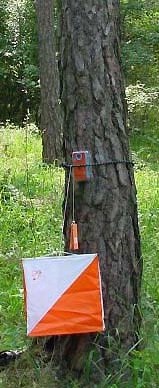 Kontrollposten an einem Fuchsjagdsender (Foto: Rainer, DL5NBZ)
